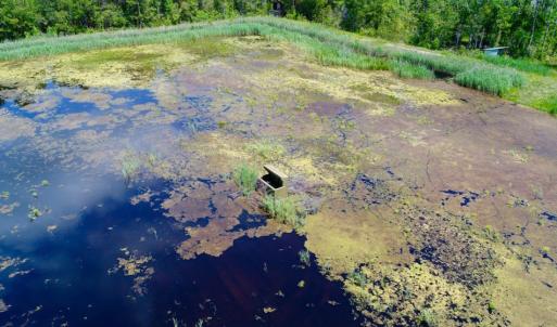 Photo of UNDER CONTRACT!  Duck Impoundment and Hunting Land For Sale in Pamlico County NC!