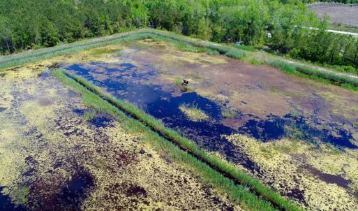 Photo of UNDER CONTRACT!  Duck Impoundment and Hunting Land For Sale in Pamlico County NC!