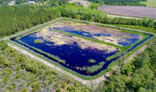 Photo of UNDER CONTRACT!  Duck Impoundment and Hunting Land For Sale in Pamlico County NC!
