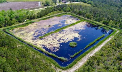 Photo of UNDER CONTRACT!  Duck Impoundment and Hunting Land For Sale in Pamlico County NC!