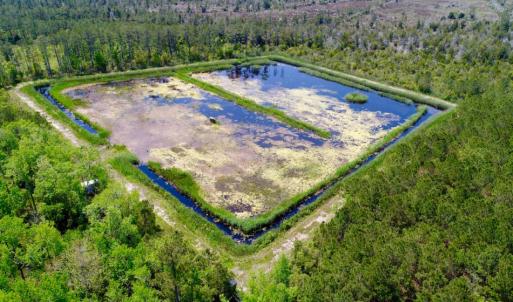 Photo of UNDER CONTRACT!  Duck Impoundment and Hunting Land For Sale in Pamlico County NC!