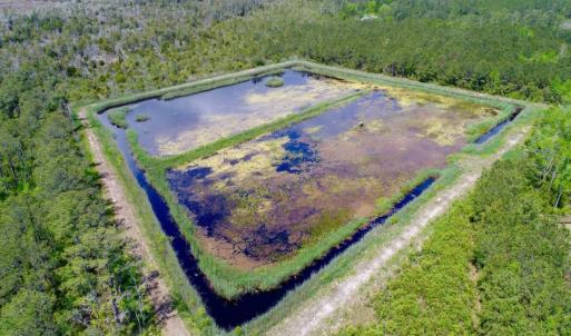 Photo of UNDER CONTRACT!  Duck Impoundment and Hunting Land For Sale in Pamlico County NC!