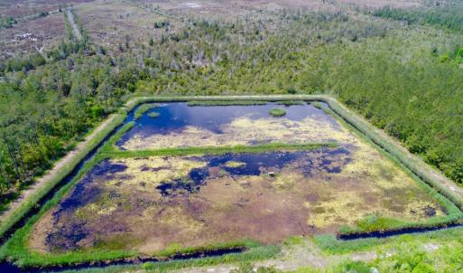 Photo of UNDER CONTRACT!  Duck Impoundment and Hunting Land For Sale in Pamlico County NC!