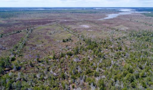 Photo of UNDER CONTRACT!  Duck Impoundment and Hunting Land For Sale in Pamlico County NC!