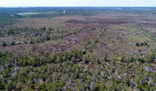 Photo of UNDER CONTRACT!  Duck Impoundment and Hunting Land For Sale in Pamlico County NC!