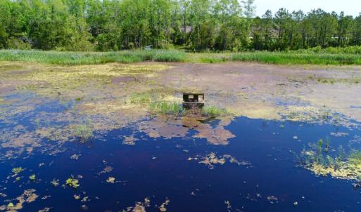 Photo of UNDER CONTRACT!  Duck Impoundment and Hunting Land For Sale in Pamlico County NC!