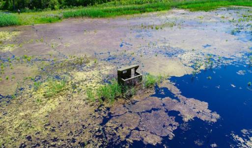 Photo of UNDER CONTRACT!  Duck Impoundment and Hunting Land For Sale in Pamlico County NC!