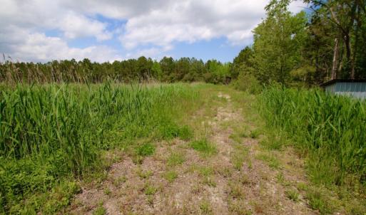 Photo of UNDER CONTRACT!  Duck Impoundment and Hunting Land For Sale in Pamlico County NC!