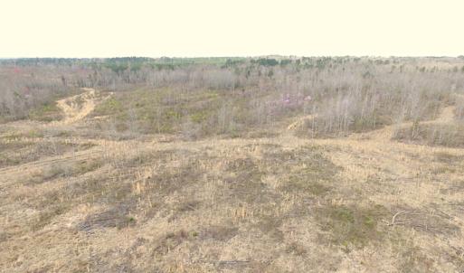Photo of SOLD!  20 Acres of Prime Hunting and Recreational Land For Sale in Dinwiddie County VA!