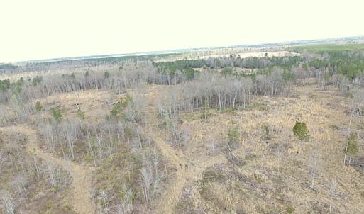 Photo of SOLD!  20 Acres of Prime Hunting and Recreational Land For Sale in Dinwiddie County VA!