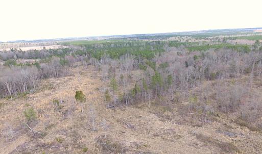 Photo of SOLD!  20 Acres of Prime Hunting and Recreational Land For Sale in Dinwiddie County VA!