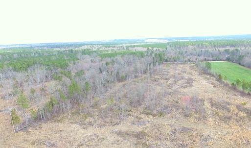 Photo of SOLD!  20 Acres of Prime Hunting and Recreational Land For Sale in Dinwiddie County VA!