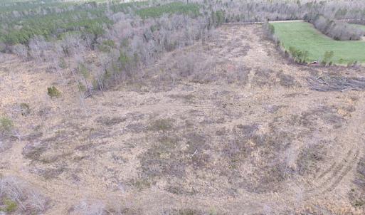 Photo of SOLD!  20 Acres of Prime Hunting and Recreational Land For Sale in Dinwiddie County VA!