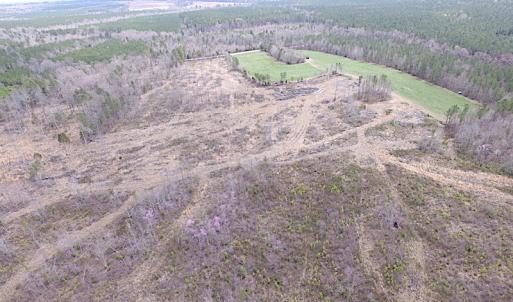 Photo of SOLD!  20 Acres of Prime Hunting and Recreational Land For Sale in Dinwiddie County VA!