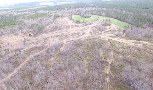 Photo of SOLD!  20 Acres of Prime Hunting and Recreational Land For Sale in Dinwiddie County VA!