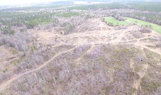 Photo of SOLD!  20 Acres of Prime Hunting and Recreational Land For Sale in Dinwiddie County VA!