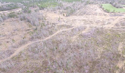 Photo of SOLD!  20 Acres of Prime Hunting and Recreational Land For Sale in Dinwiddie County VA!