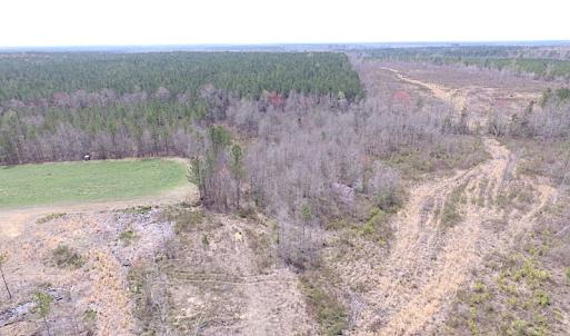 Photo of SOLD!  20 Acres of Prime Hunting and Recreational Land For Sale in Dinwiddie County VA!