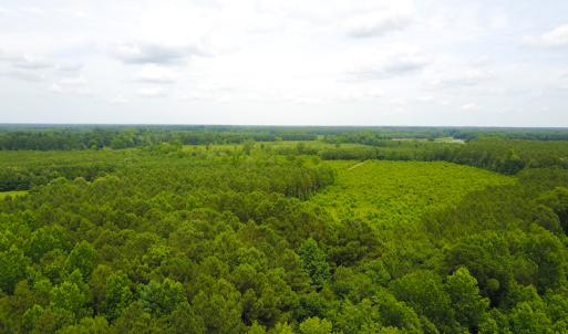 Photo of UNDER CONTRACT!  59 Acres of Hunting and Timber Land with Home For Sale in Bertie County NC!
