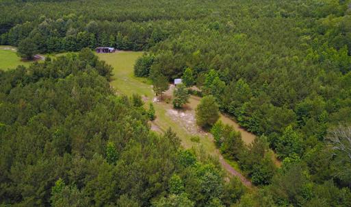 Photo of UNDER CONTRACT!  59 Acres of Hunting and Timber Land with Home For Sale in Bertie County NC!