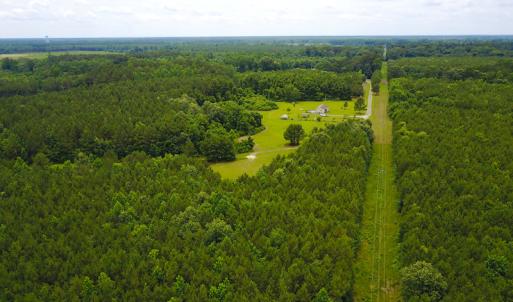 Photo of UNDER CONTRACT!  59 Acres of Hunting and Timber Land with Home For Sale in Bertie County NC!