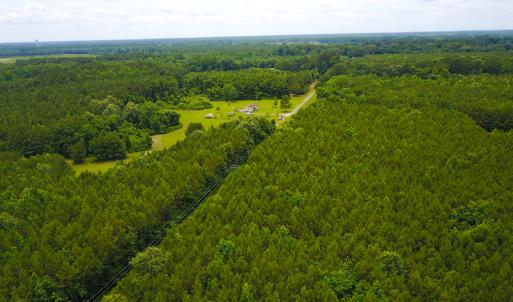 Photo of UNDER CONTRACT!  59 Acres of Hunting and Timber Land with Home For Sale in Bertie County NC!