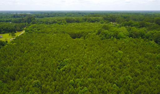 Photo of UNDER CONTRACT!  59 Acres of Hunting and Timber Land with Home For Sale in Bertie County NC!