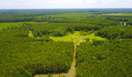 Photo of UNDER CONTRACT!  59 Acres of Hunting and Timber Land with Home For Sale in Bertie County NC!