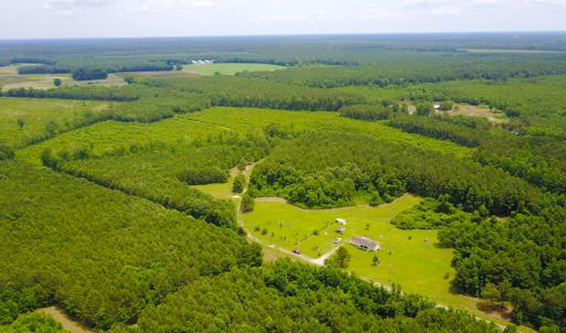 Photo of UNDER CONTRACT!  59 Acres of Hunting and Timber Land with Home For Sale in Bertie County NC!