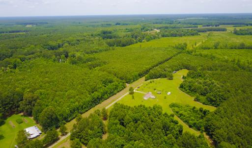 Photo of UNDER CONTRACT!  59 Acres of Hunting and Timber Land with Home For Sale in Bertie County NC!
