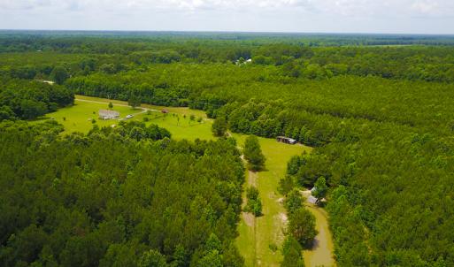 Photo of UNDER CONTRACT!  59 Acres of Hunting and Timber Land with Home For Sale in Bertie County NC!