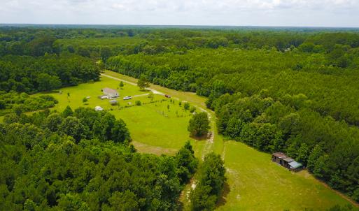 Photo of UNDER CONTRACT!  59 Acres of Hunting and Timber Land with Home For Sale in Bertie County NC!