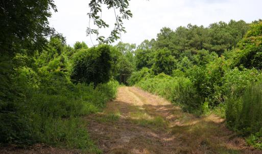 Photo of UNDER CONTRACT!  59 Acres of Hunting and Timber Land with Home For Sale in Bertie County NC!