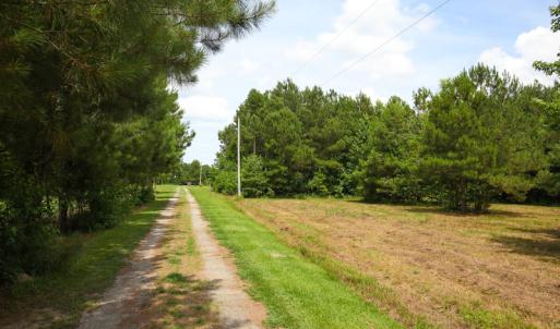 Photo of UNDER CONTRACT!  59 Acres of Hunting and Timber Land with Home For Sale in Bertie County NC!