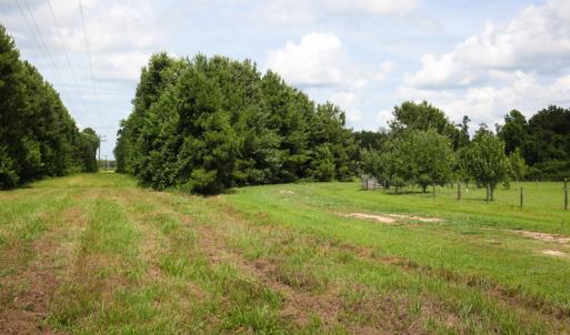 Photo of UNDER CONTRACT!  59 Acres of Hunting and Timber Land with Home For Sale in Bertie County NC!