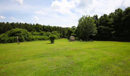 Photo of UNDER CONTRACT!  59 Acres of Hunting and Timber Land with Home For Sale in Bertie County NC!