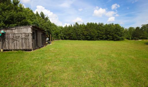 Photo of UNDER CONTRACT!  59 Acres of Hunting and Timber Land with Home For Sale in Bertie County NC!