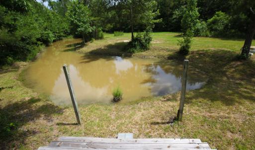Photo of UNDER CONTRACT!  59 Acres of Hunting and Timber Land with Home For Sale in Bertie County NC!