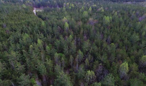 Photo of UNDER CONTRACT!  18 Acres of Residential and Recreational Land For Sale in Charlotte County VA!