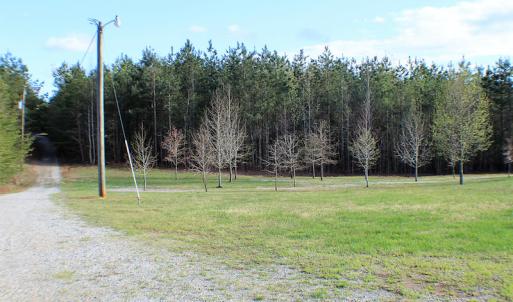 Photo of UNDER CONTRACT!  18 Acres of Residential and Recreational Land For Sale in Charlotte County VA!