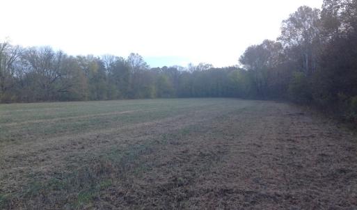 Photo of SOLD!!  31 Acres of Riverfront Hunting Land For Sale in Halifax County VA!