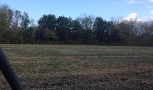 Photo of SOLD!!  31 Acres of Riverfront Hunting Land For Sale in Halifax County VA!