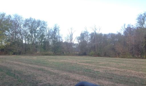 Photo of SOLD!!  31 Acres of Riverfront Hunting Land For Sale in Halifax County VA!