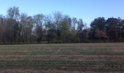 Photo of SOLD!!  31 Acres of Riverfront Hunting Land For Sale in Halifax County VA!