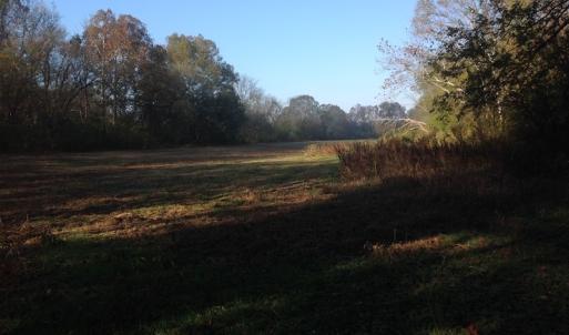 Photo of SOLD!!  31 Acres of Riverfront Hunting Land For Sale in Halifax County VA!