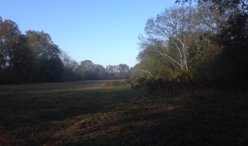 Photo of SOLD!!  31 Acres of Riverfront Hunting Land For Sale in Halifax County VA!