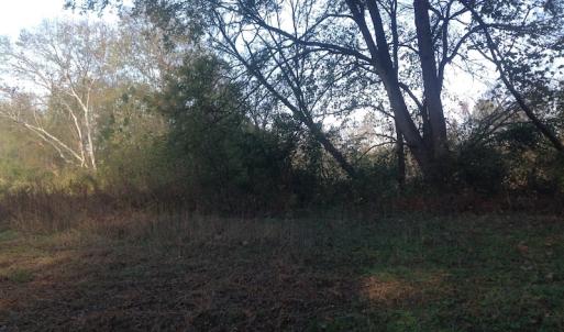 Photo of SOLD!!  31 Acres of Riverfront Hunting Land For Sale in Halifax County VA!