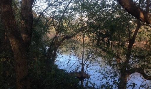 Photo of SOLD!!  31 Acres of Riverfront Hunting Land For Sale in Halifax County VA!