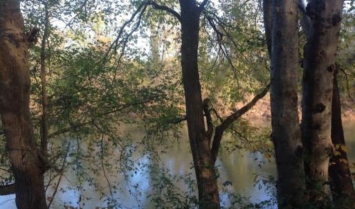 Photo of SOLD!!  31 Acres of Riverfront Hunting Land For Sale in Halifax County VA!