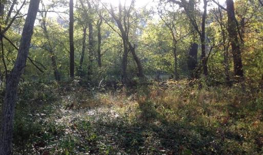 Photo of SOLD!!  31 Acres of Riverfront Hunting Land For Sale in Halifax County VA!